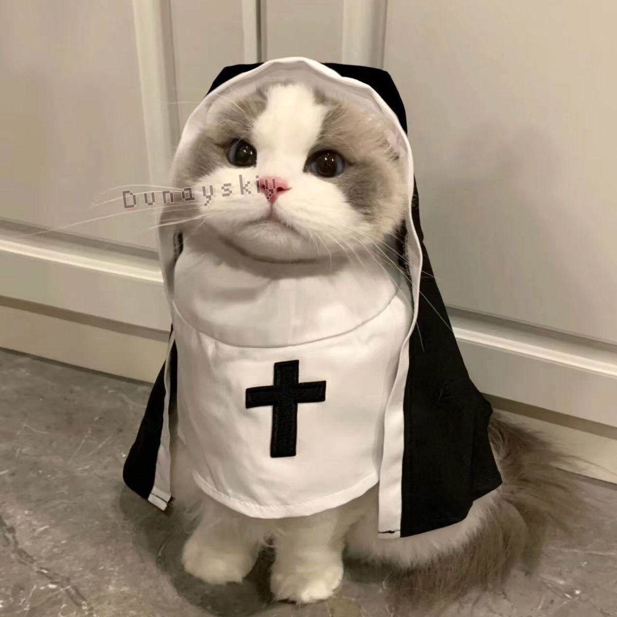 Costume di Natale per Cani e G - Anime Cosplay Nun recensione e prezzo