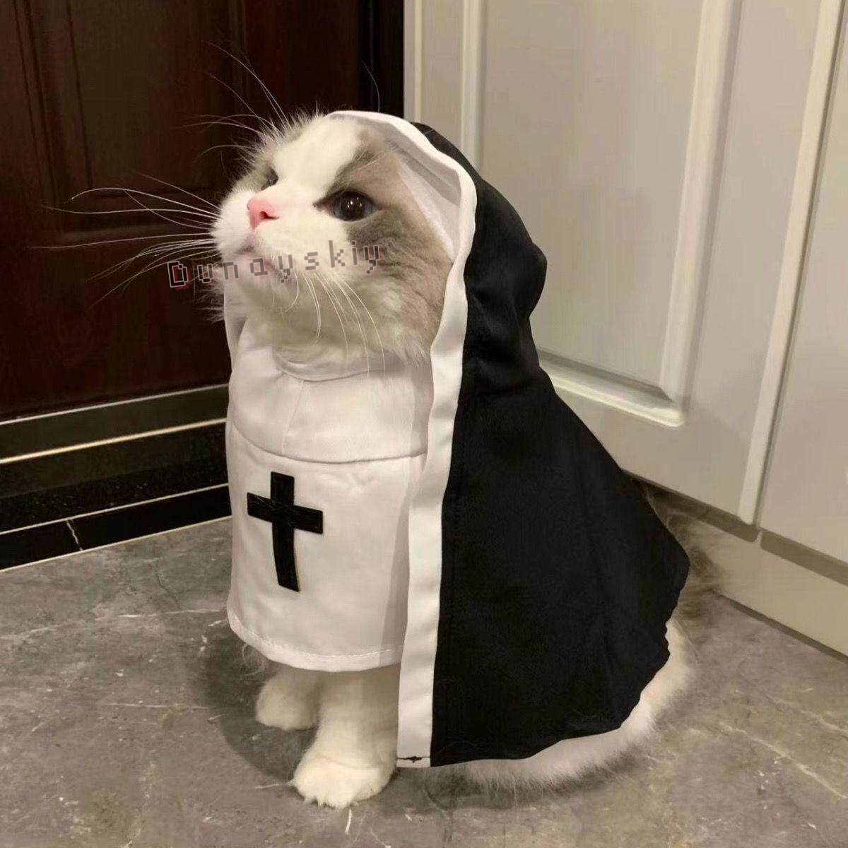 Costume di Natale per Cani e G - Anime Cosplay Nun recensione e prezzo