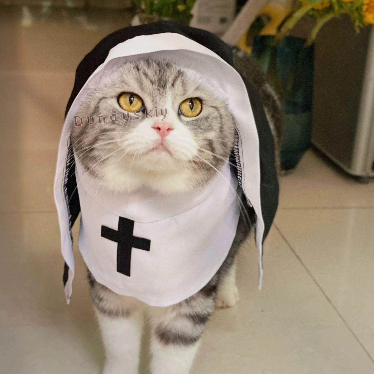 Costume di Natale per Cani e G - Anime Cosplay Nun recensione e prezzo