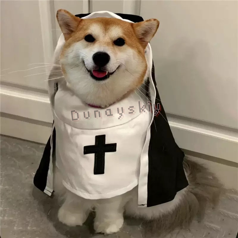 Costume di Natale per Cani e G - Anime Cosplay Nun recensione e prezzo